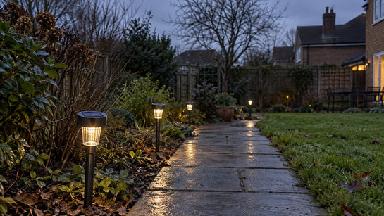 Solar garden path lights in a UK garden on a winter evening