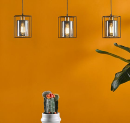 Wellington Showroom Renovations