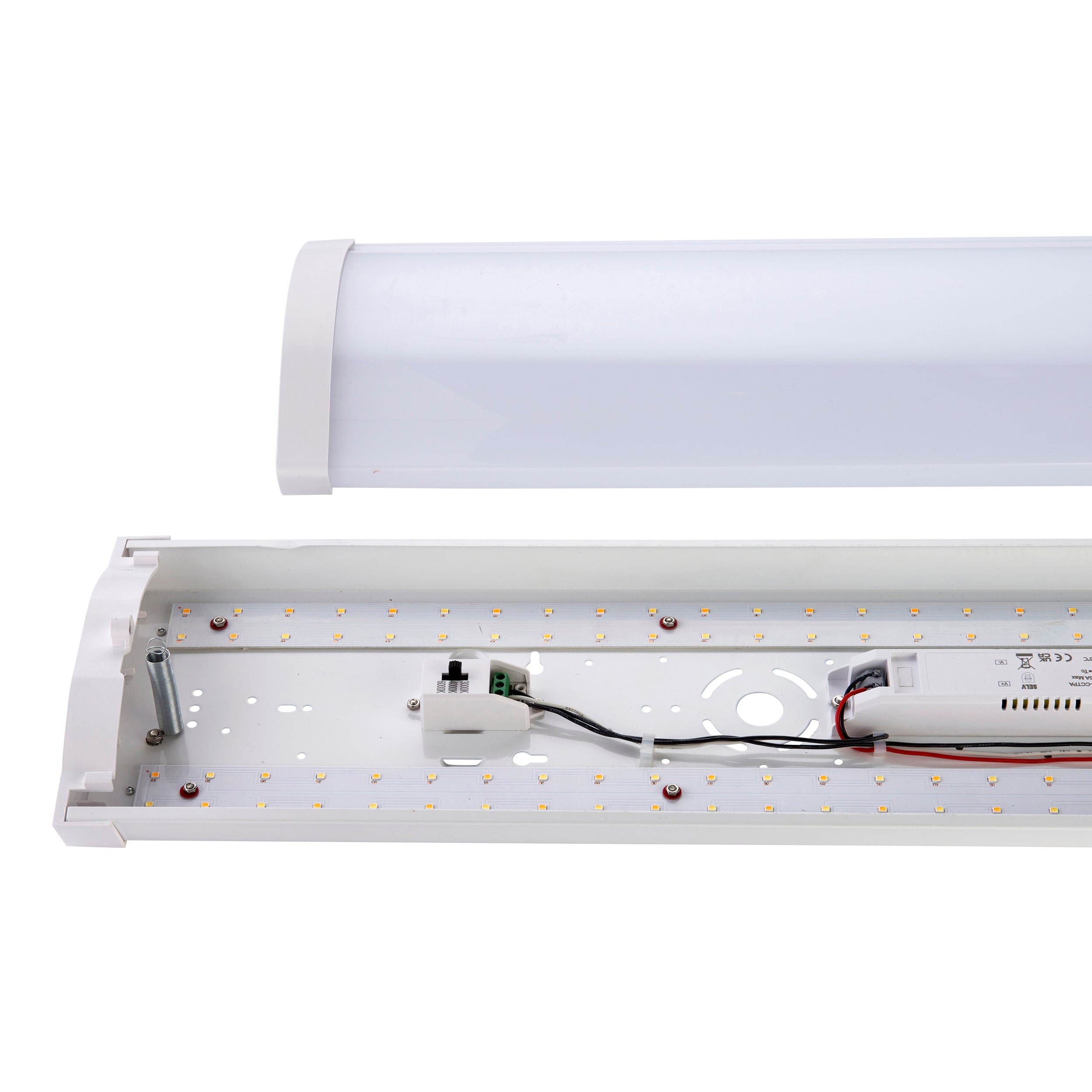 DualLED 4FT 38W