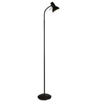 Amalfi 1-Light Reading Floor Lamp: Adjustable Head (Black)