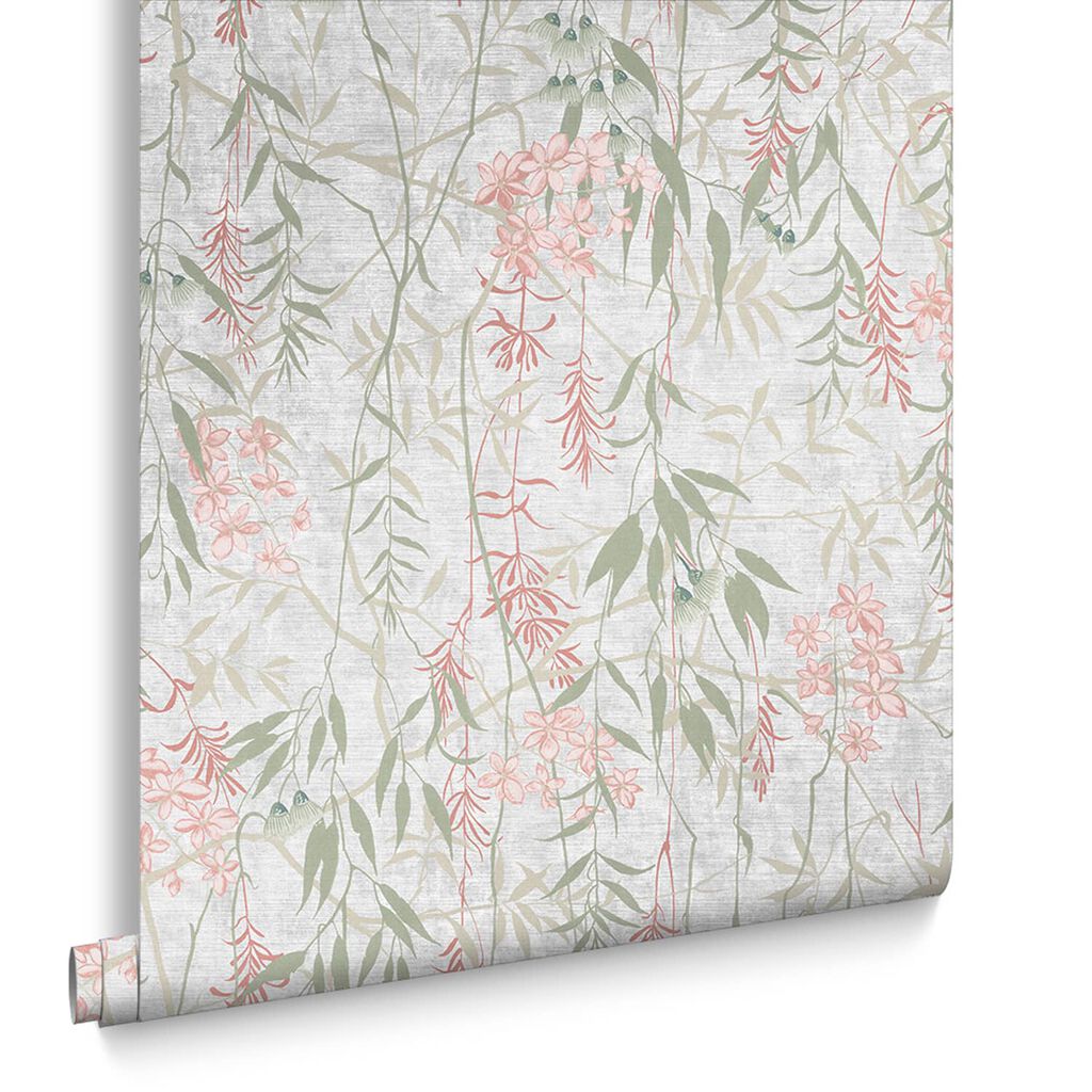 Obassia Silk Dawn