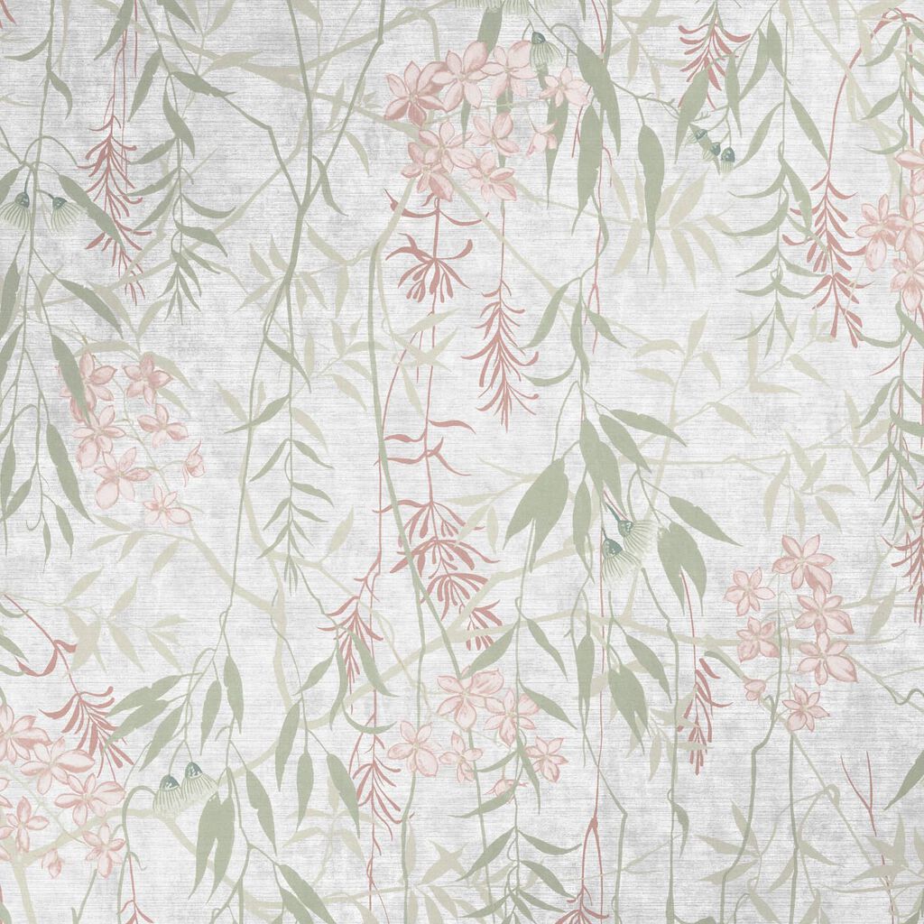 Obassia Silk Dawn