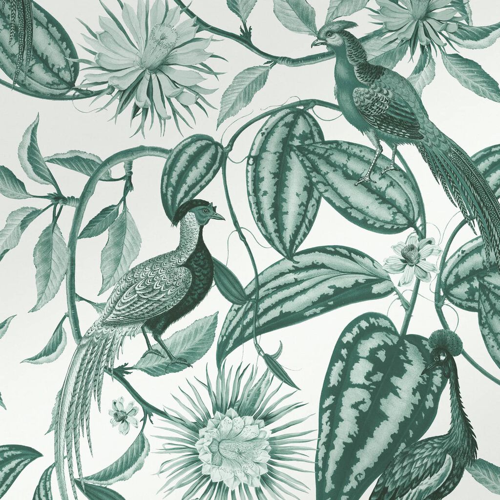 Amherst's Garden Teal