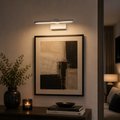 Forza 365 LED  Picture Light