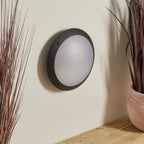 Seran plain IP65 12W