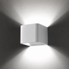 Lynx 100 LED Wall Washer
