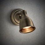 Westbury 1-Light Antique Brass Adjustable Spotlight