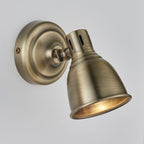 Westbury 1-Light Antique Brass Adjustable Spotlight