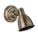 Westbury 1-Light Antique Brass Adjustable Spotlight
