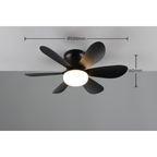 LUND Black Medium Ceiling Fan