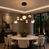 ARIES 800 Circular LED Ring