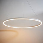 Staten Pendant White Integral LED Ring