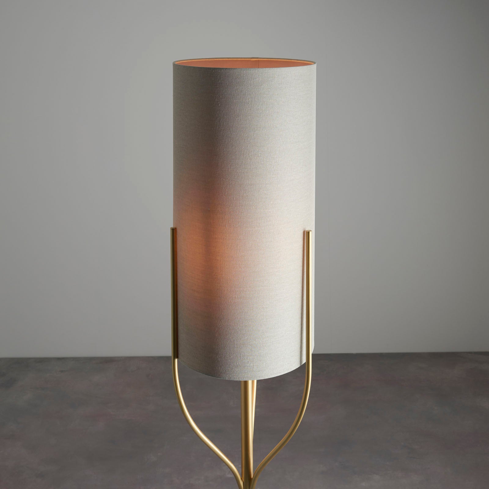 Fraser 1-Light Brushed Brass Floor Lamp