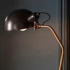 Largo 1-Light Floor Lamp in Aged Brass and Black with Adjustable Head