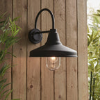 Farmhouse 1-Light Black Outdoor Wall Light