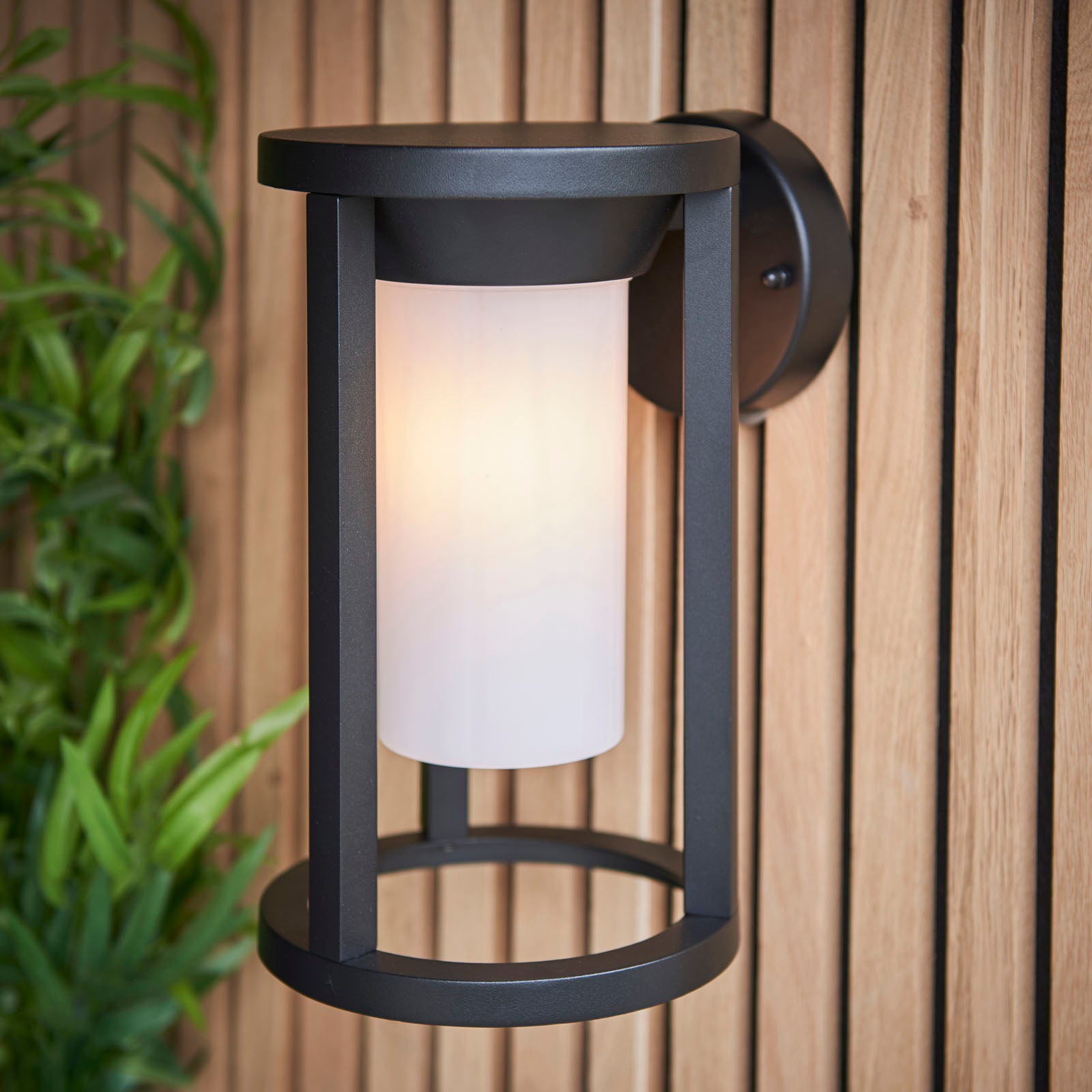 Braden 1-Light Outdoor Wall Sconce: Modern Design (Black & White)
