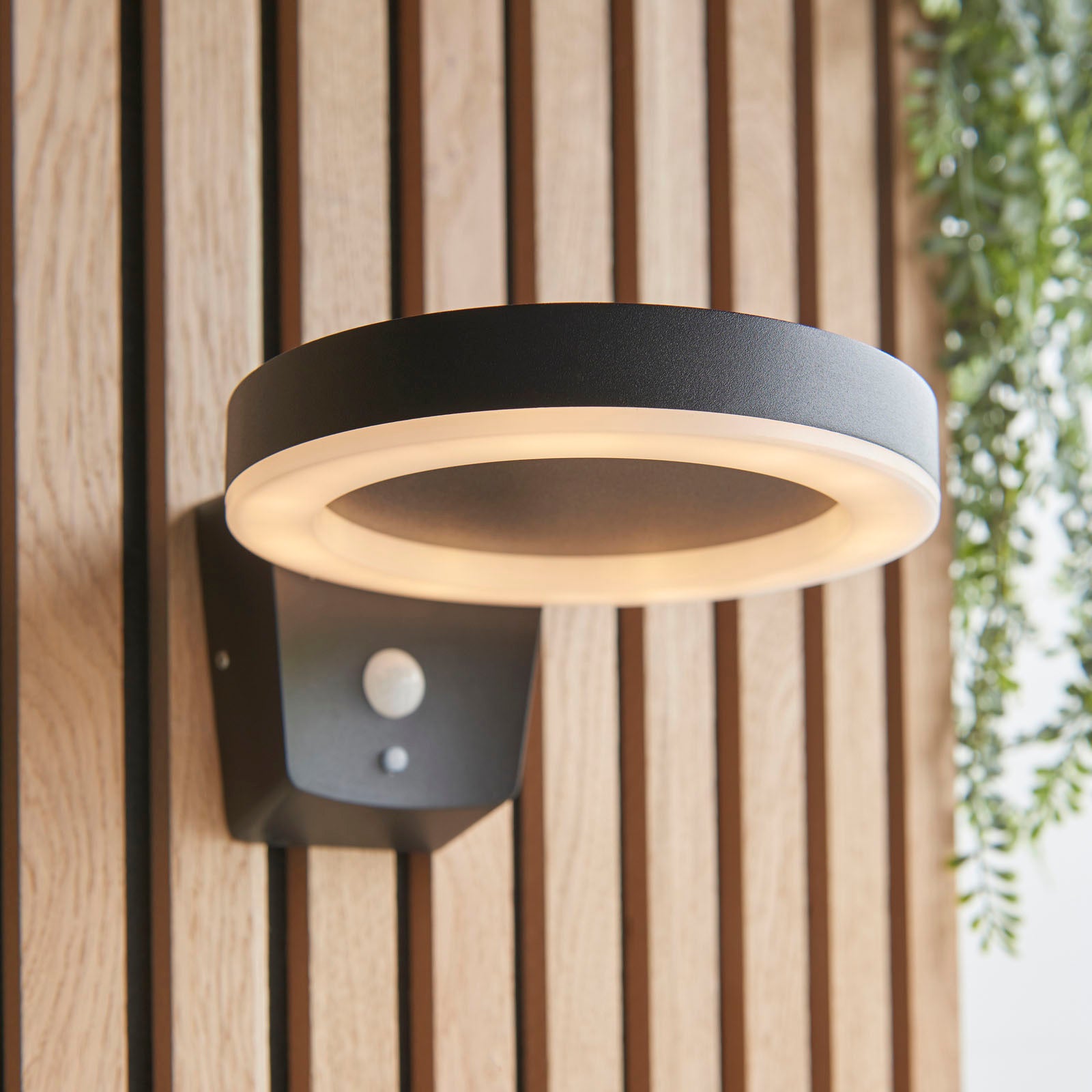 Ebro 1-Light Solar Wall Light (Motion Sensor)