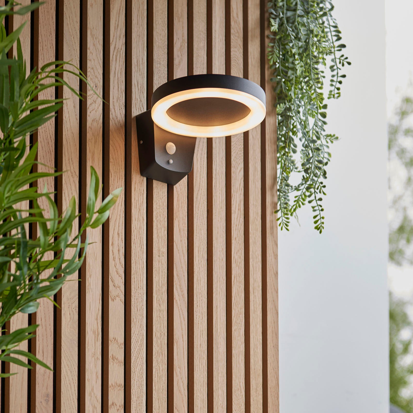Ebro 1-Light Solar Wall Light (Motion Sensor)