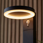 Ebro 1-Light Solar Floor Lamp (Motion Sensor)