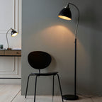 Franklin 1-Light Adjustable Floor Lamp - Matt Black Finish