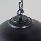 Colman Black & Gold Leaf Pendant Light