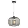 Demarius 1 Light Pendant Black and Smoked Glass