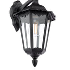 Eddard Outdoor Wall Light Matt Black and Glass IP44