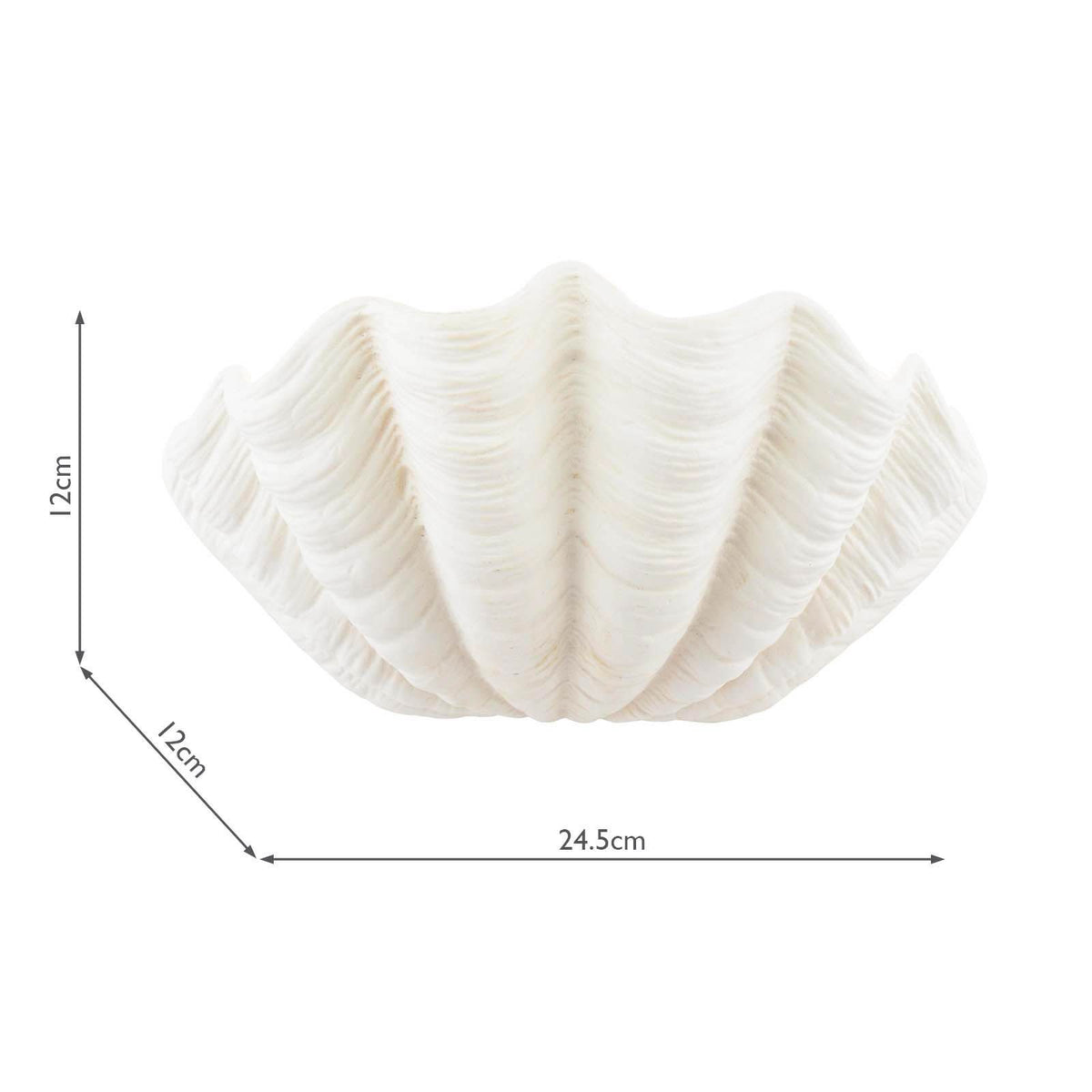 Laura Ashley Shell Wall Washer White Ceramic