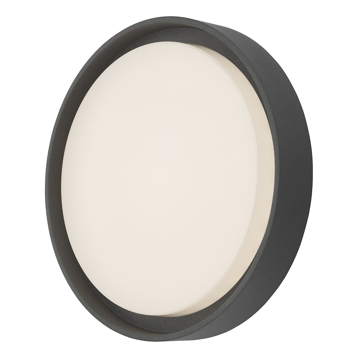 Ralph Large Outdoor Wall Light Anthracite IP65 LED