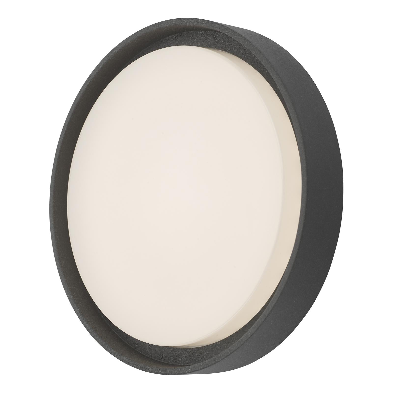 Ralph Large Outdoor Wall Light Anthracite IP65 LED