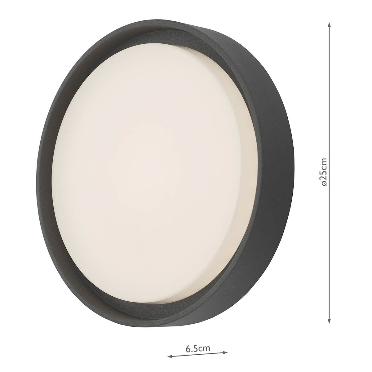 Ralph Large Outdoor Wall Light Anthracite IP65 LED