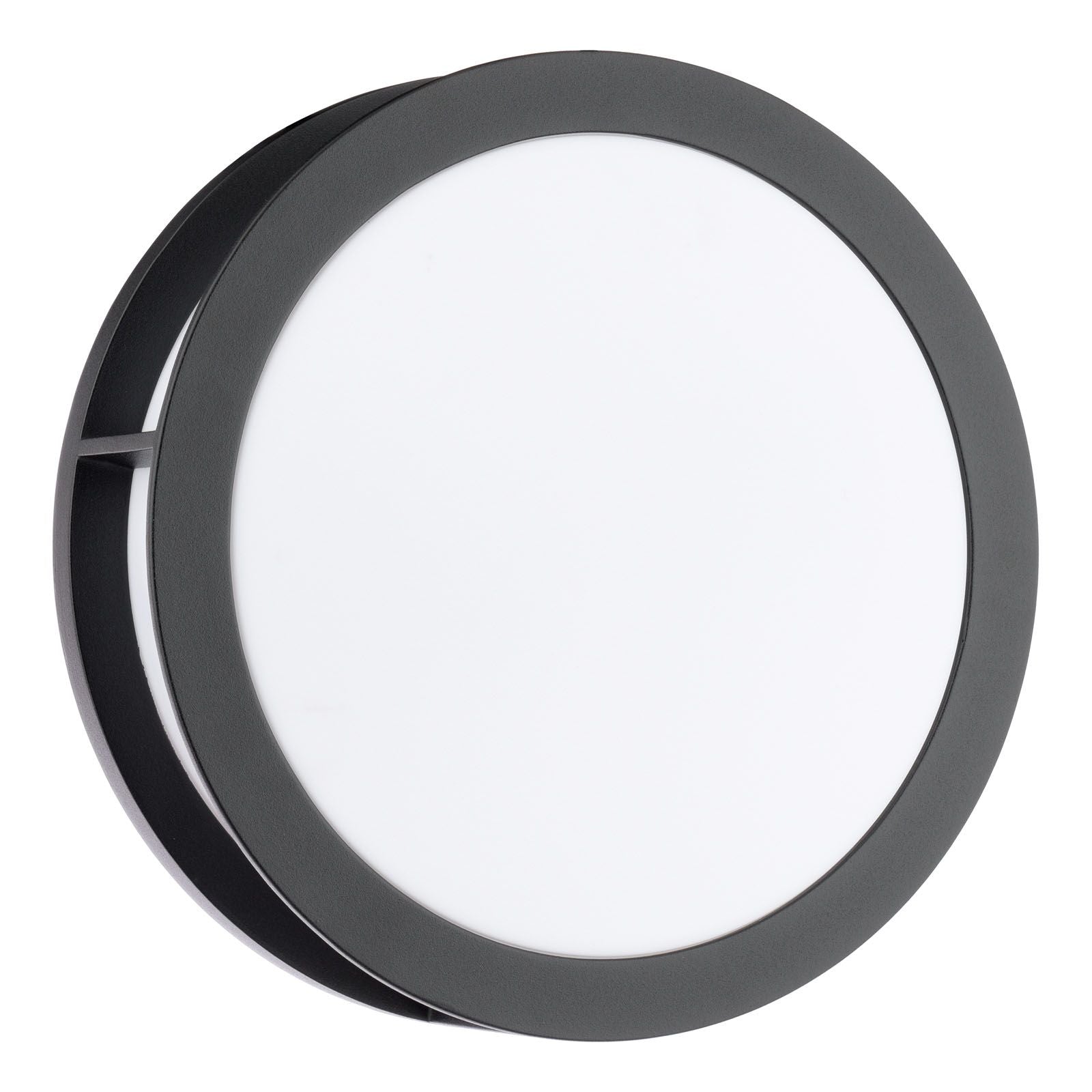 Ratana Outdoor Wall Light Matt Black and Opal IP44