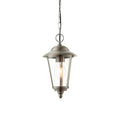 Klien 1-Light Stainless Steel Outdoor Pendant Light with Clear Diffuser (Dimmable, LED)