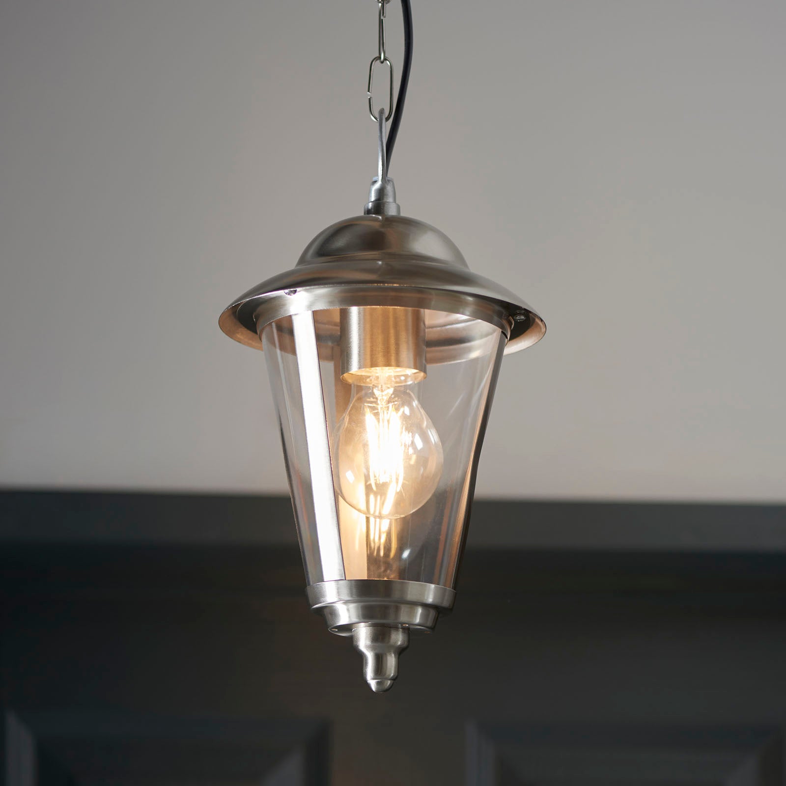 Klien 1-Light Stainless Steel Outdoor Pendant Light with Clear Diffuser (Dimmable, LED)