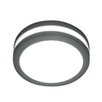 Ano 1-Light Graphite Outdoor Wall/Ceiling Lantern