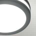 Ano 1-Light Graphite Outdoor Wall/Ceiling Lantern