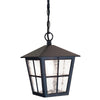 Canterbury Large 1-Light Black Hanging Lantern