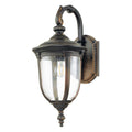 Cleveland 1 Light Medium Wall Lantern 1