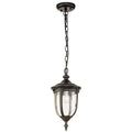 Cleveland 1 Light Small Chain Lantern
