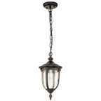 Cleveland 1 Light Small Chain Lantern