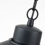 Copenhagen Black Hanging Lantern