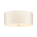 Fletcher 22" Flush Mount Light (Polished Chrome Finial)