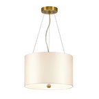 Pearce 14" Pendant (Aged Brass Ceiling Pan)