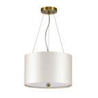 Pearce 14" Pendant (Aged Brass Ceiling Pan)