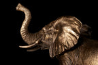 Sabi Elephant Table Lamp with Oval Shade