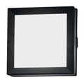Egil Graphite Outdoor Wall/Ceiling Light