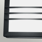 Egil 1 Light Wall/Ceiling Lantern 1