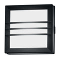 Egil 1 Light Wall/Ceiling Lantern 1