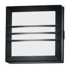 Egil 1 Light Wall/Ceiling Lantern 1