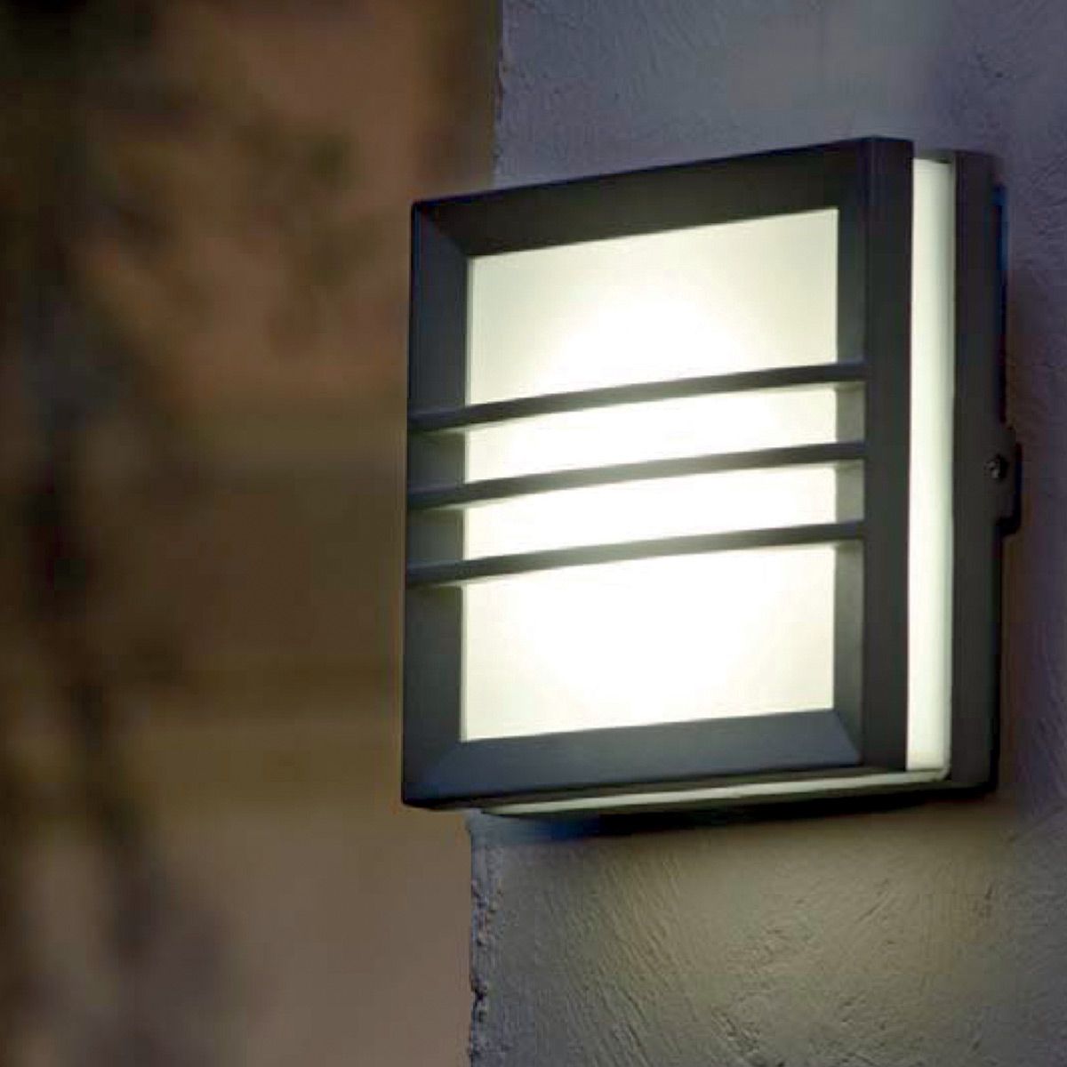 Egil 1 Light Wall/Ceiling Lantern 1
